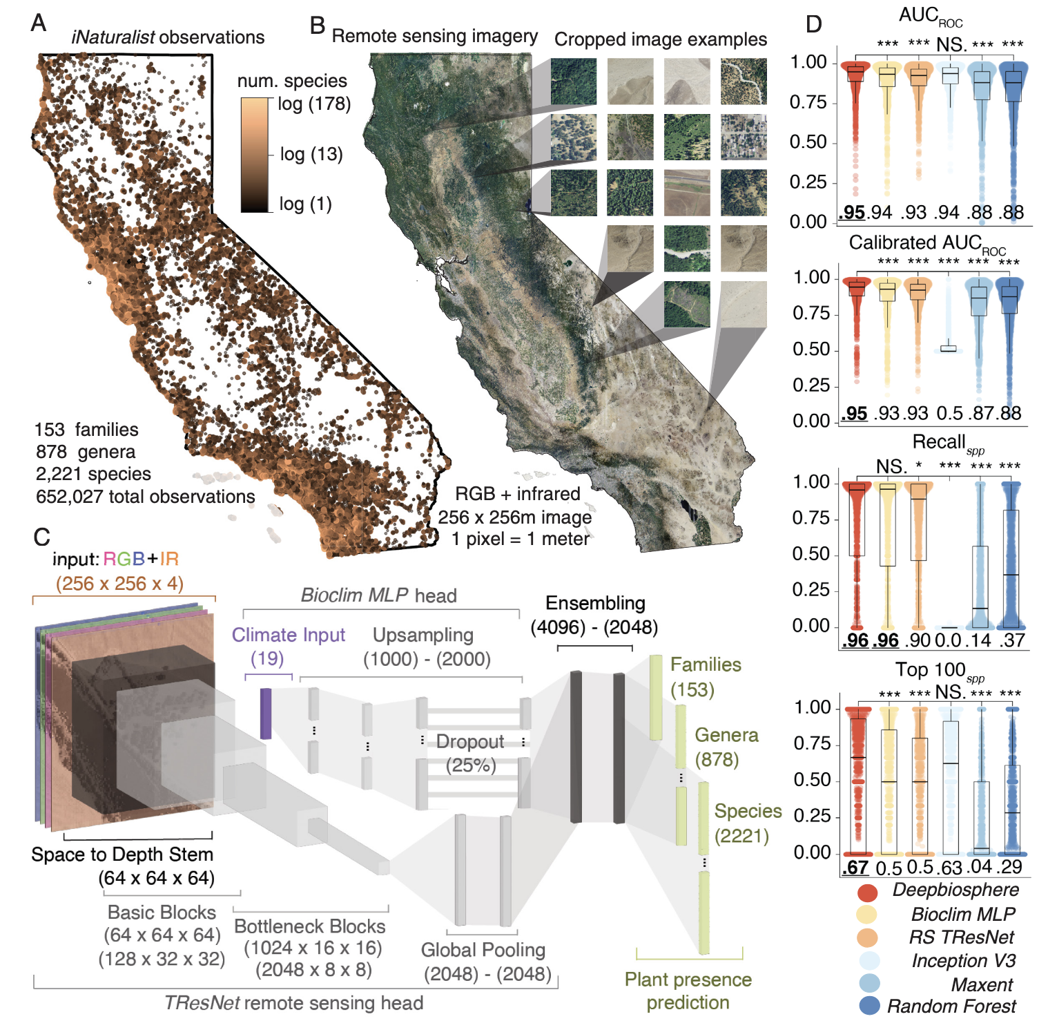 Gillepsie et al, 2024; fig 1